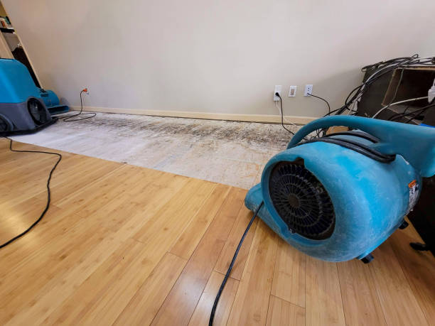 Professional Flood Damage Cleanup technician working in Glendale, WI